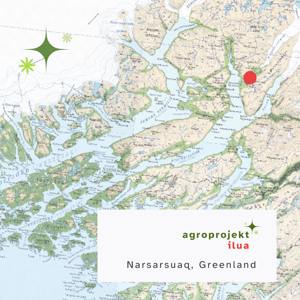 Kort over Sydgrønland med Narsarsuaq markeret