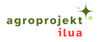 Ilua